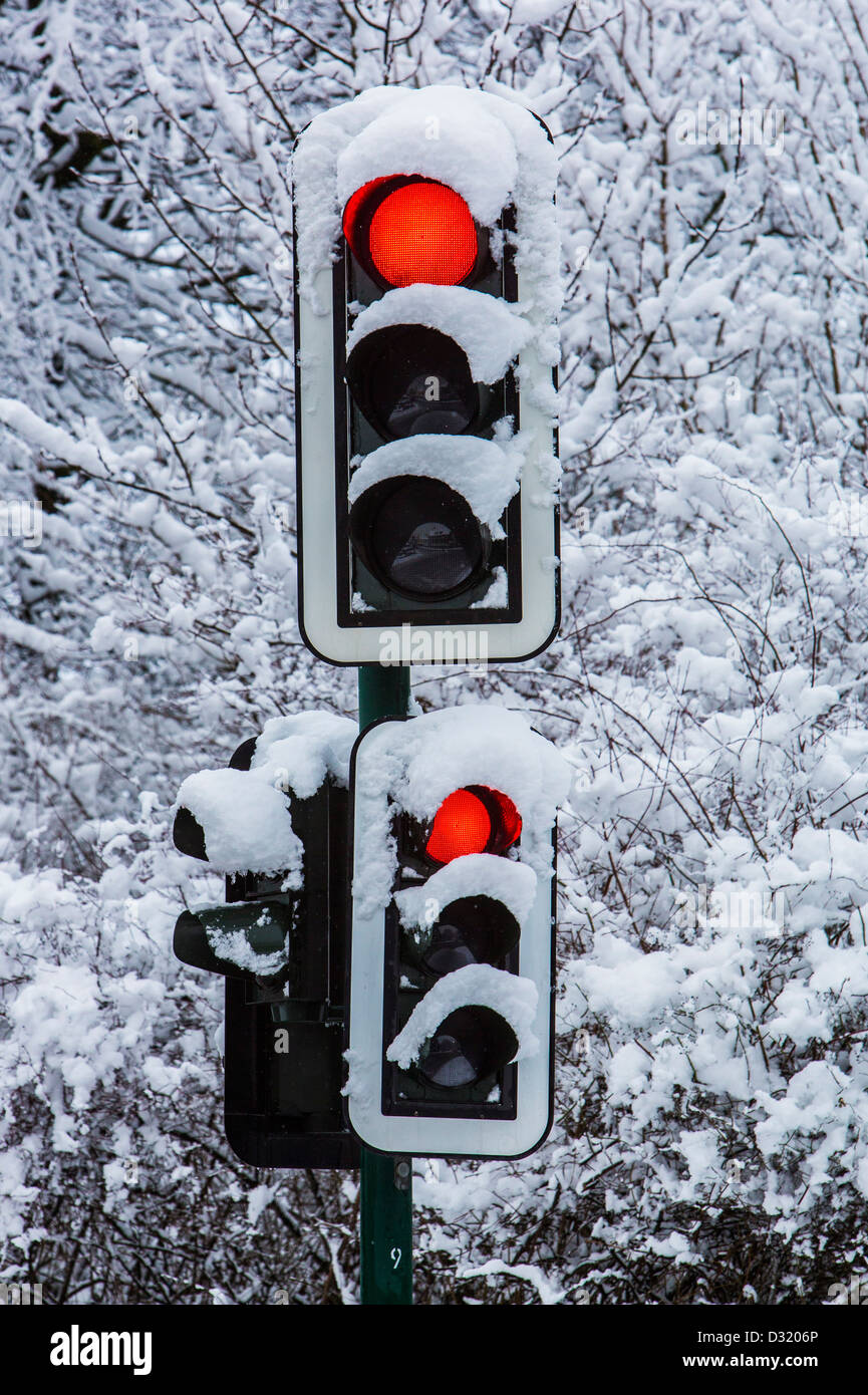Winter, snow covered traffic lights. Stock Photo