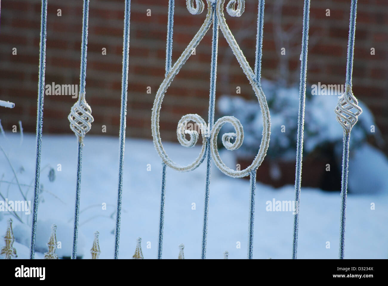 A front gate covered with ice from and snow with cool blue tones in winter with foliage bush shrub in out of focus background Stock Photo