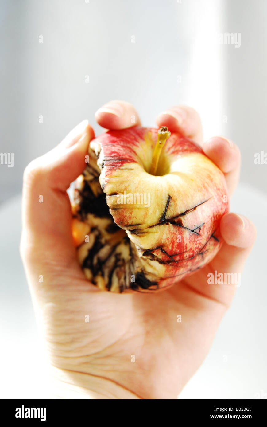A red and yellow apple on a white background, held by a hand bitten with black cracks and mold showing decay and rotting fruit Stock Photo