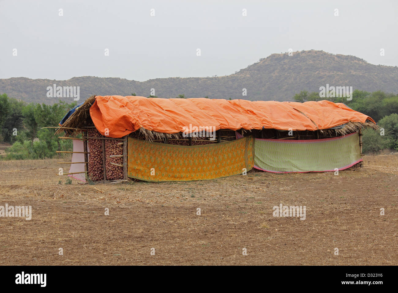 Traditional onion storage hi-res stock photography and images - Alamy