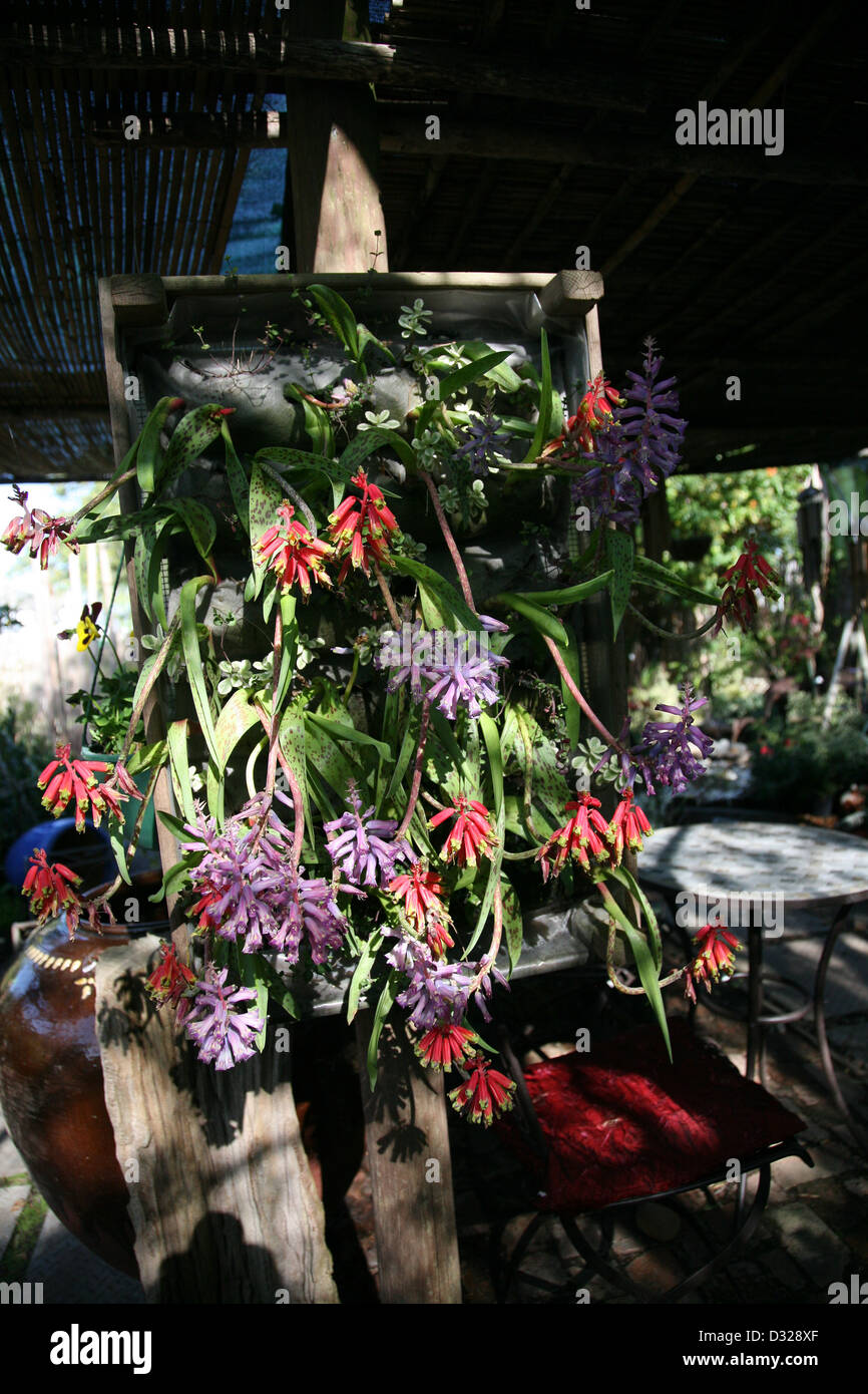 Decorative Flowering Hanging Garden With Plants Chicken Wire