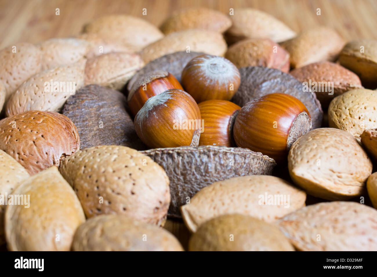Mixed nuts in the shell selection of Brazil,almonds,walnut and hazelnuts Stock Photo
