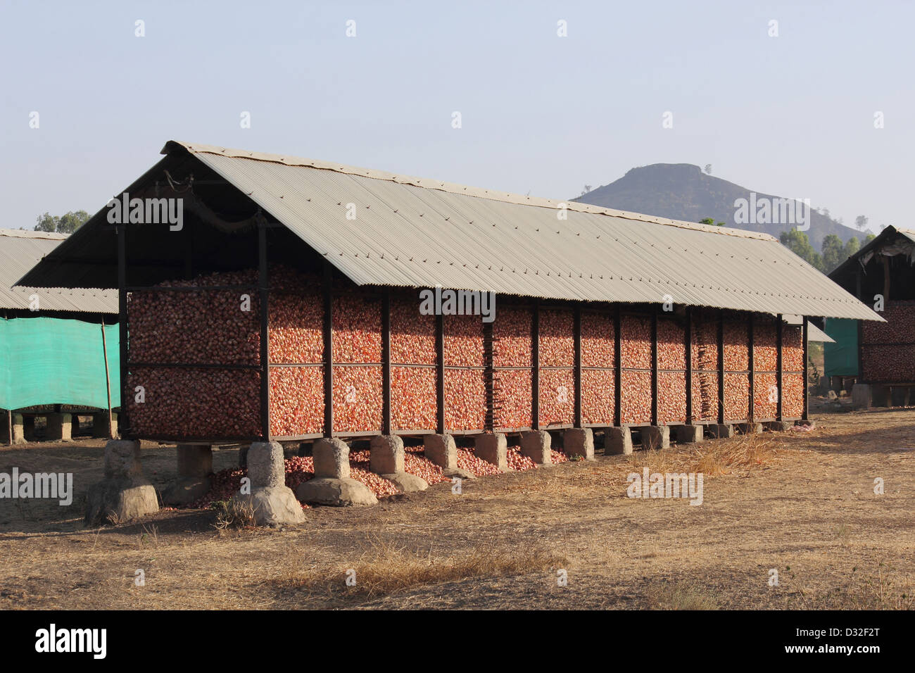 Traditional storage for onions in villages Stock Photo Alamy