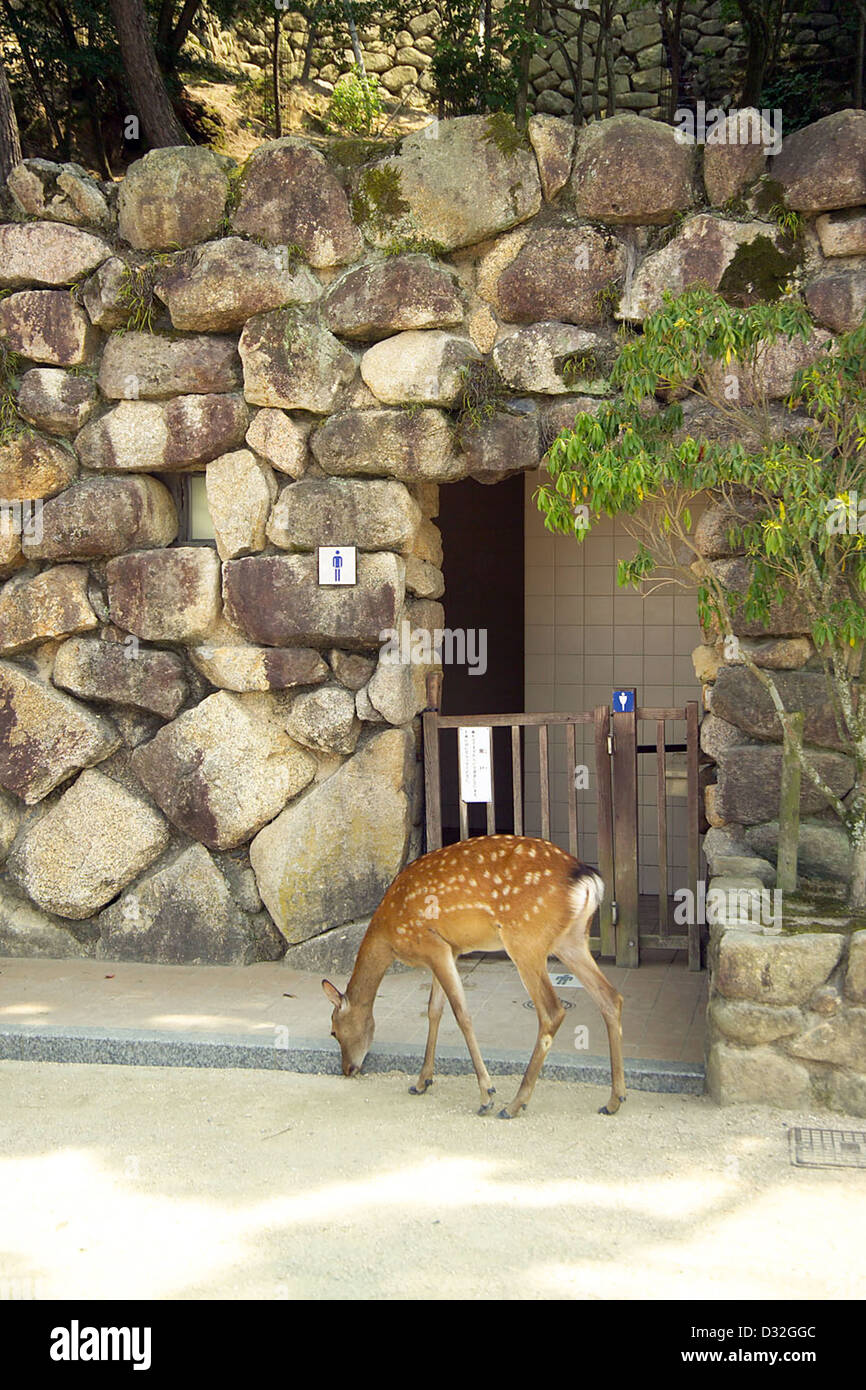 Public restrooms have gates to keep the deer out. Miyajima, Hiroshima Prefecture, Japan. Stock Photo