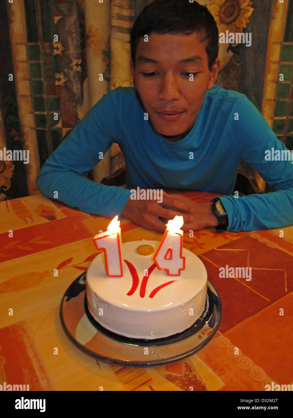 Boy Birthday Cake For His Fourteen Years Stock Photo Alamy