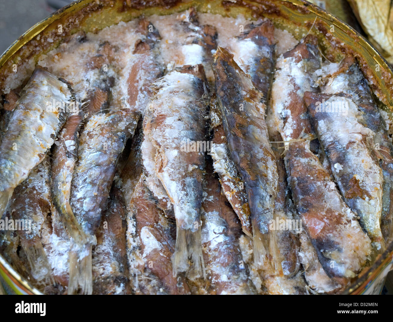 Salted Sardines High Resolution Stock Photography and Images Alamy