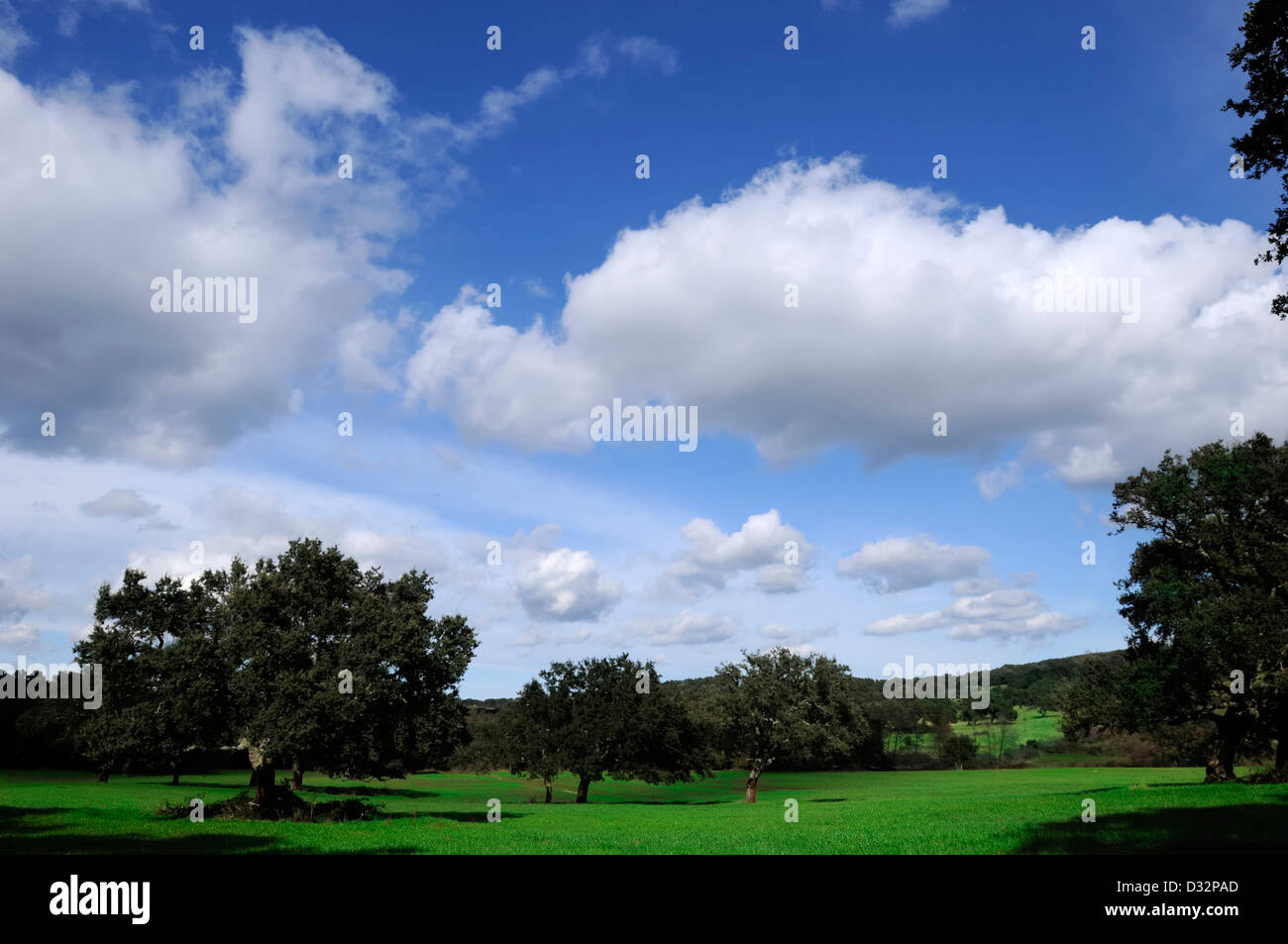 Spring countryside Landscape on blue sky Stock Photo