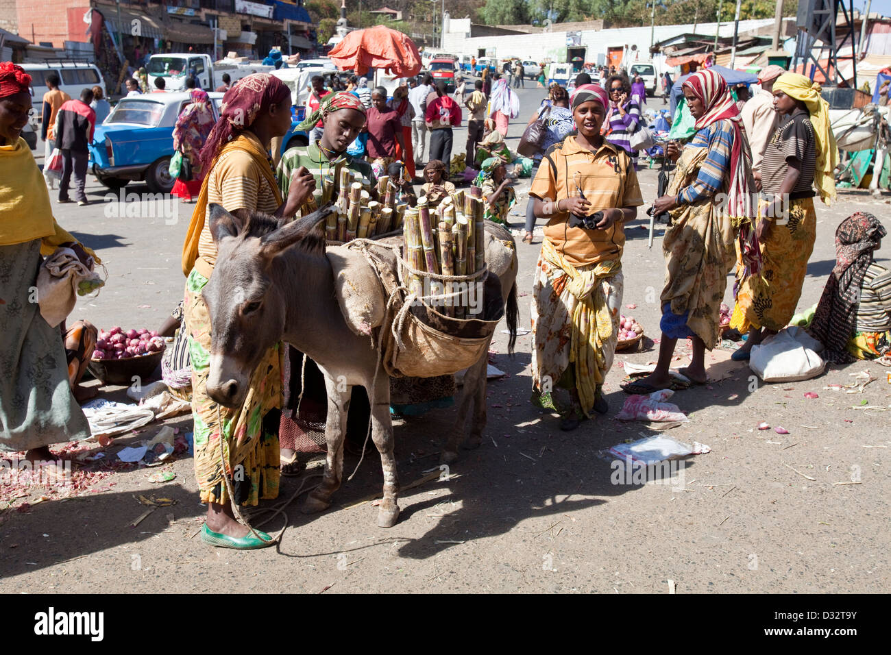 Women selling sugar cane, Harar, Ethiopia Stock Photo Alamy