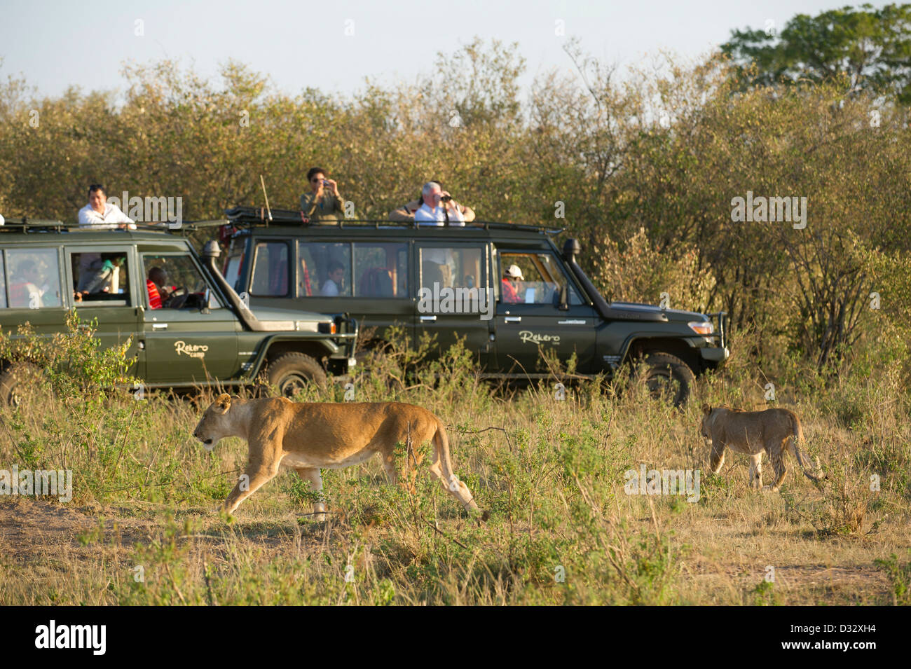 Masai mara park tourists hi-res stock photography and images - Alamy