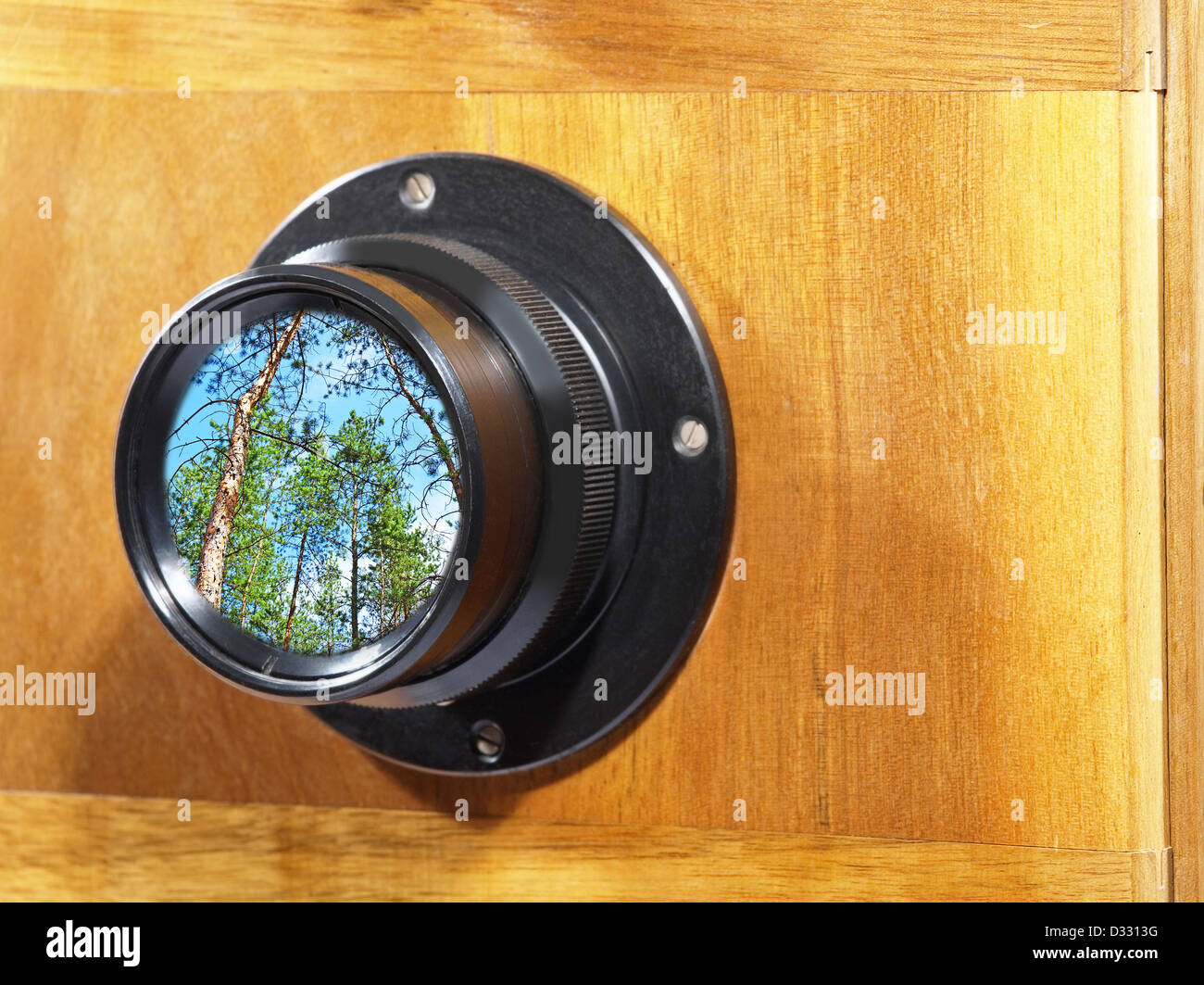Old camera lens with green forest inside Stock Photo - Alamy