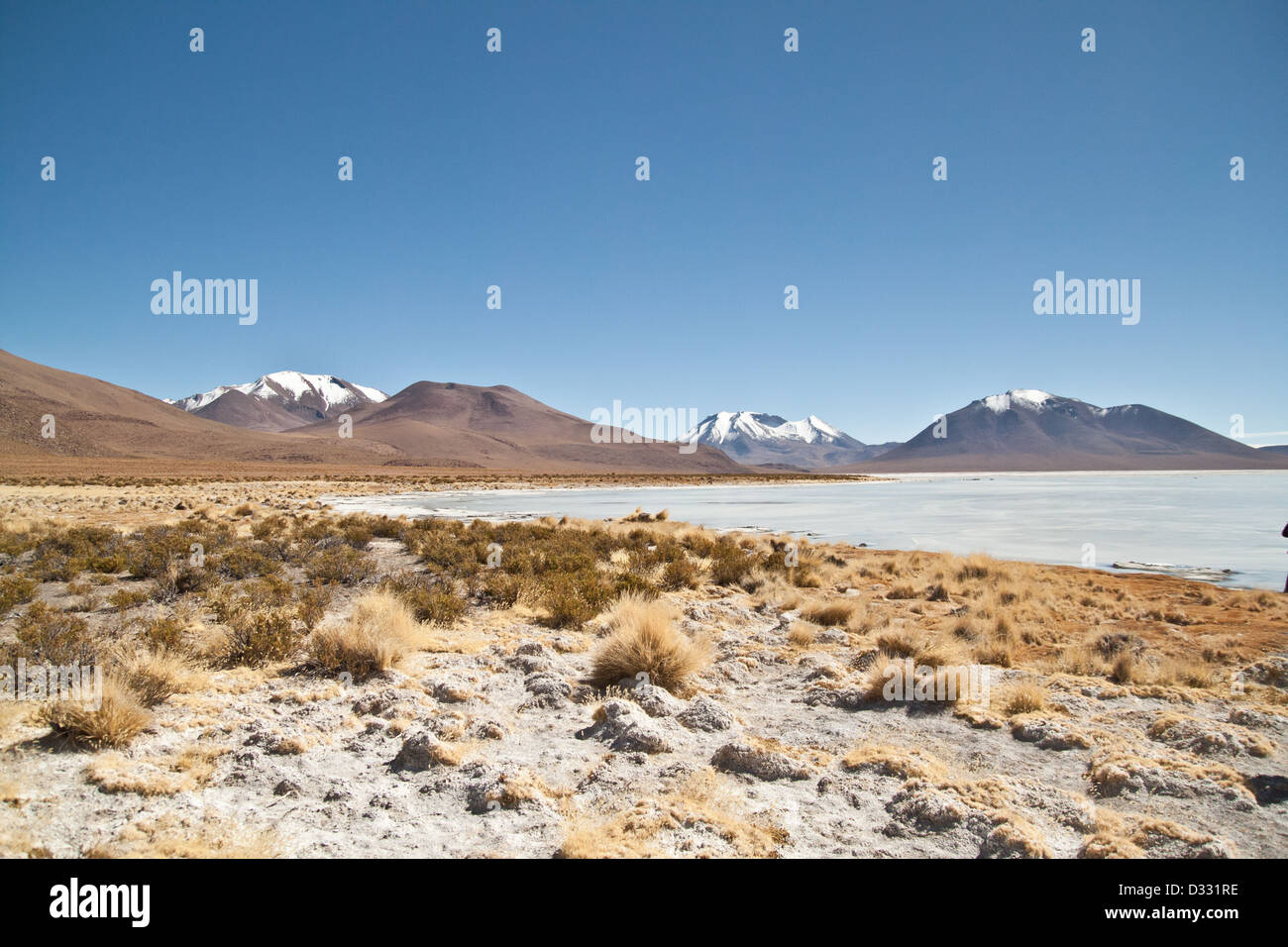 Bolivia Lake Hi res Stock Photography And Images Alamy bolivia-lake-hi-res-stock-photography-and-images-alamy