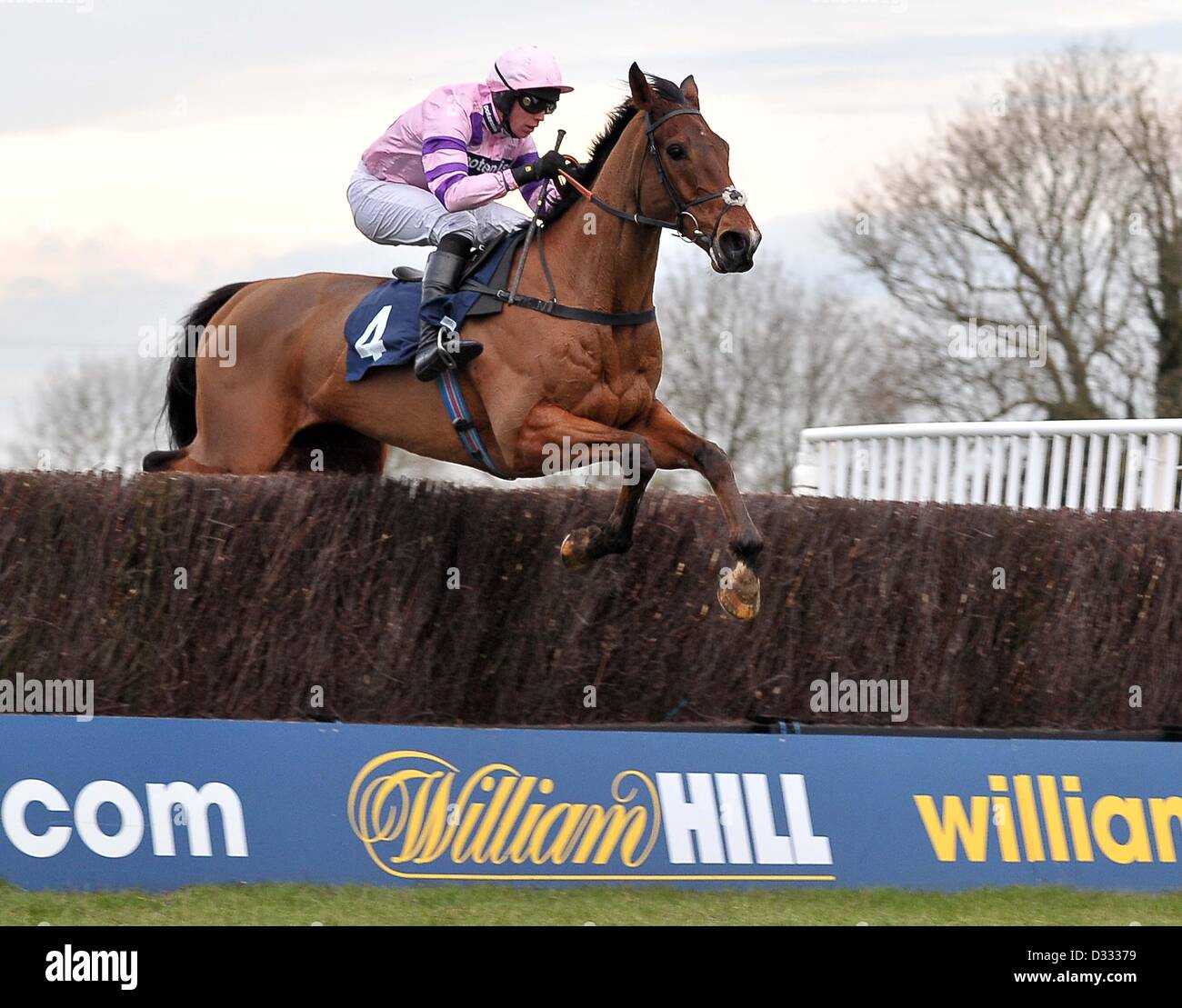 Huntingdon Race Course. Cambridgeshire. 7th February 2013. Winner TRICKY TRICKSTER ridden by Mr S Clements jumps the last fence. Race 6. CGA Foxhunter Trial (An Open Hunters? Chase). Chatteris Fen Racing Day.. Credit:  Sport In Pictures / Alamy Live News Stock Photo