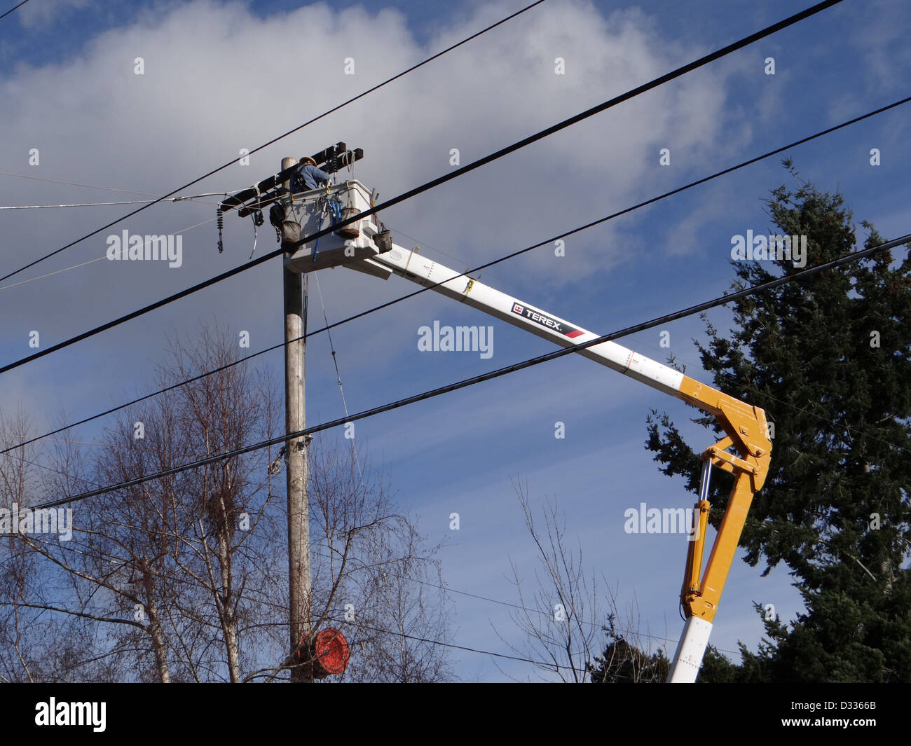 Seattle City Light workmen replace an aging utility pole as part of a