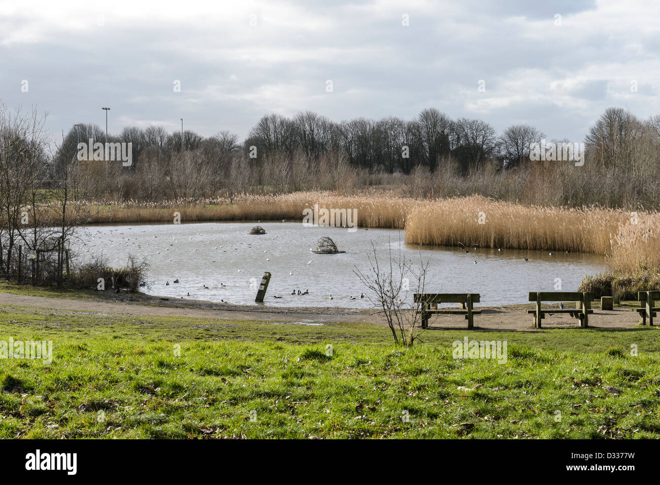 Engineered water retention pond, River Quaggy flood alleviation scheme, Sutcliffe Park, London, UK. Stock Photo