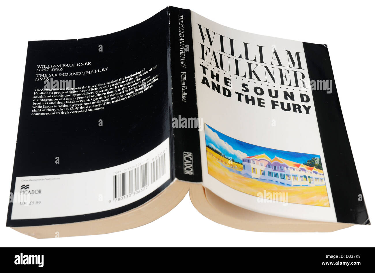 by Faulkner The Sound And The Fury William Paperback Book The Picador Books
