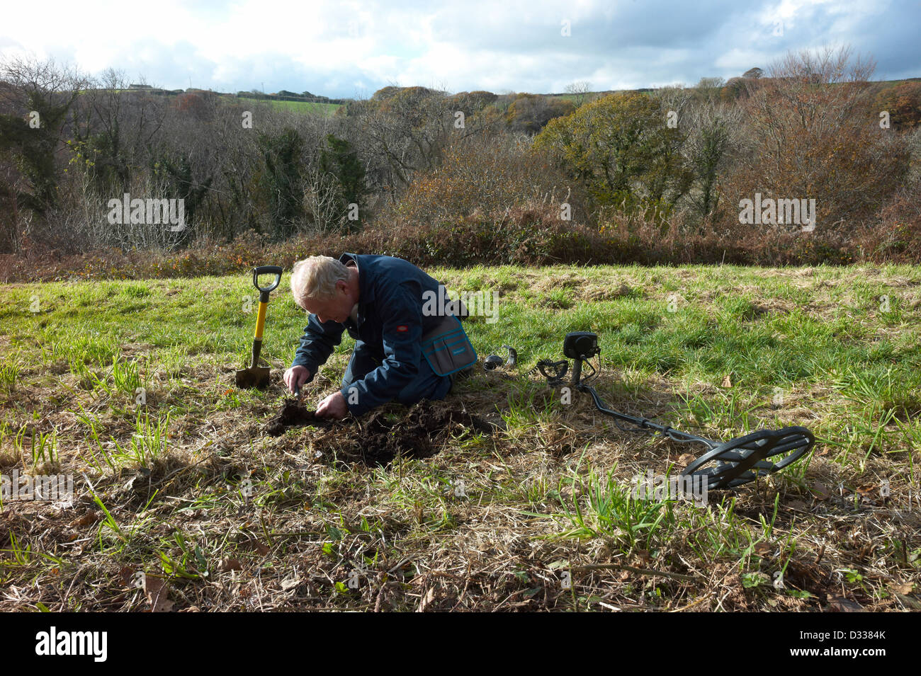 Man using a metal detector finds an object in field near Luxulyan Cornwall  Stock Photo
