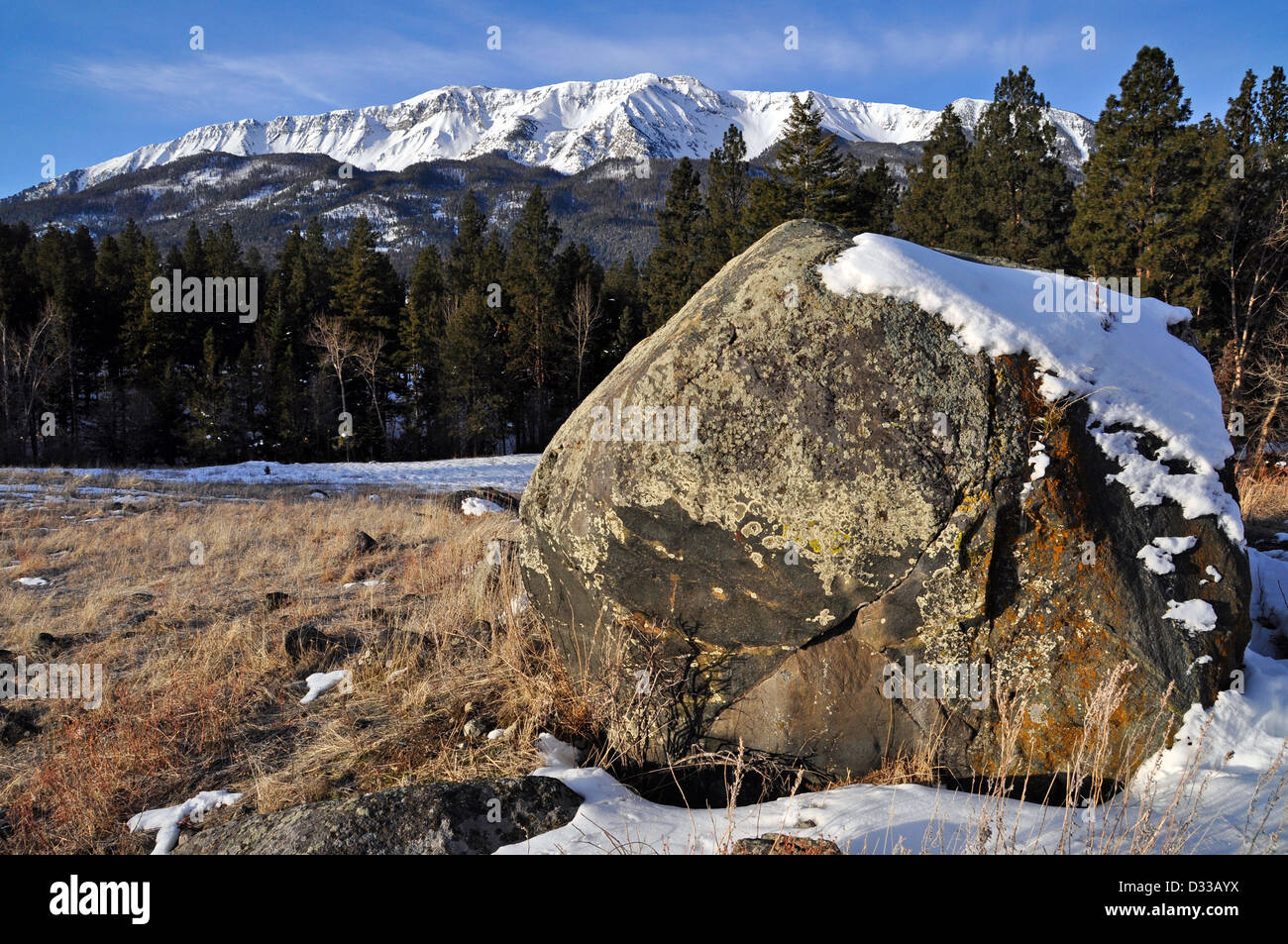 Boulder on a moraine below the Wallowa Mountains, Oregon. Stock Photo