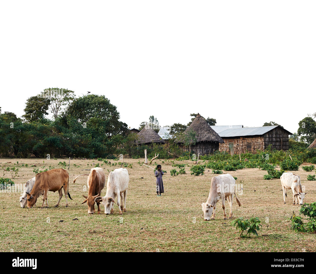 A village child and his mother tend their cattle and crops Stock Photo