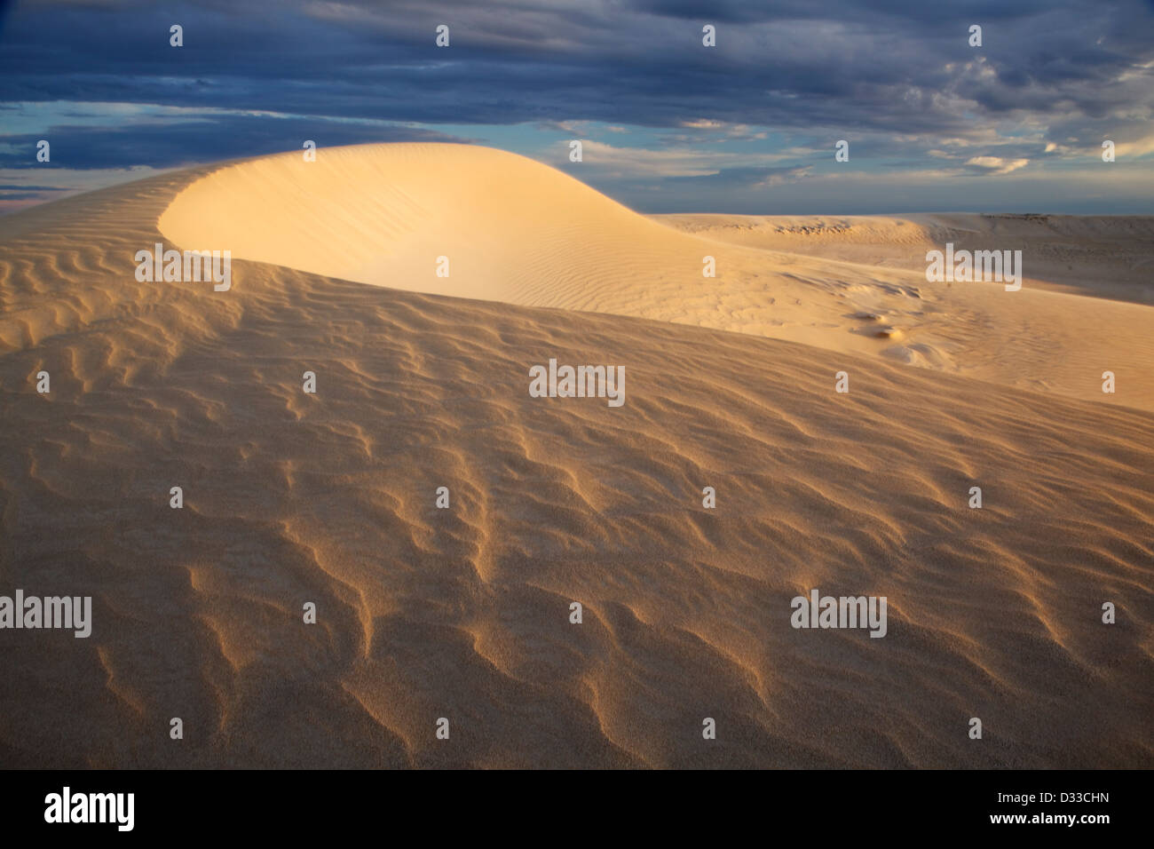 A landscape picture in Australia. Sand dunes near the town of Fowlers Bay in the South Australian Outback. Stock Photo