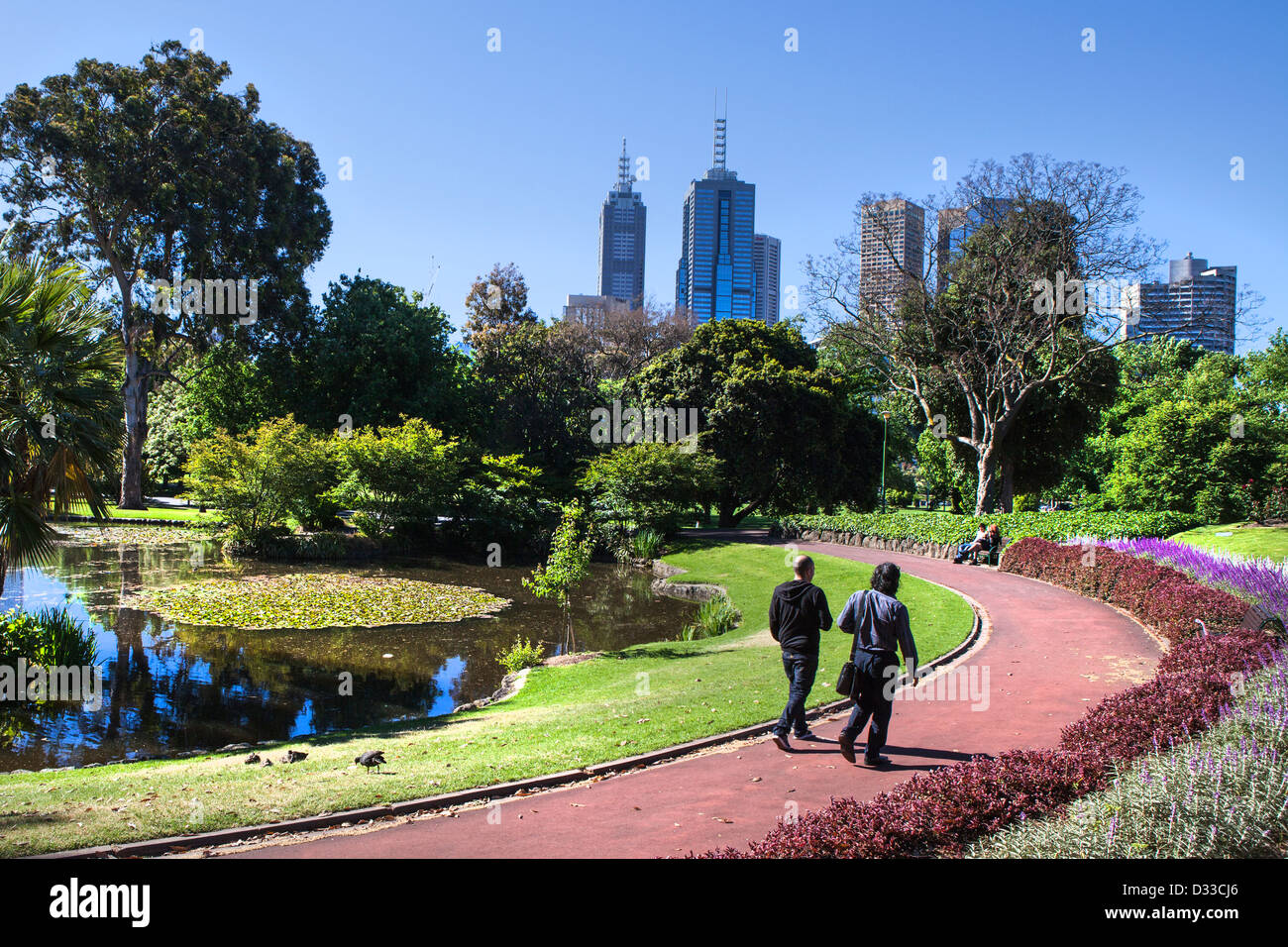 Melbourne Gardens Park rose gardens in Kings domain Victoria Australia. Australian people walking in parks to the city skyline. Stock Photo