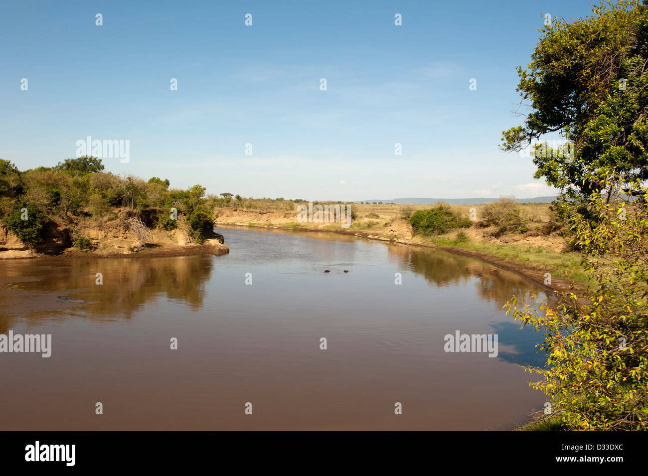 Mara river, Maasai Mara National Reserve, Kenya Stock Photo