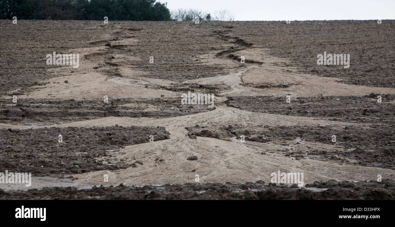 Soil erosion in a field from overland flow after heavy rain, Rendlesham