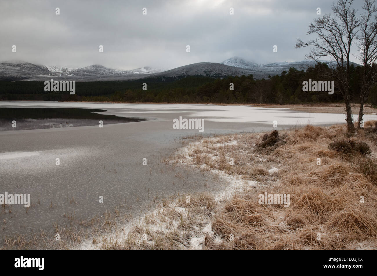 Frozen Loch Morlich Stock Photo