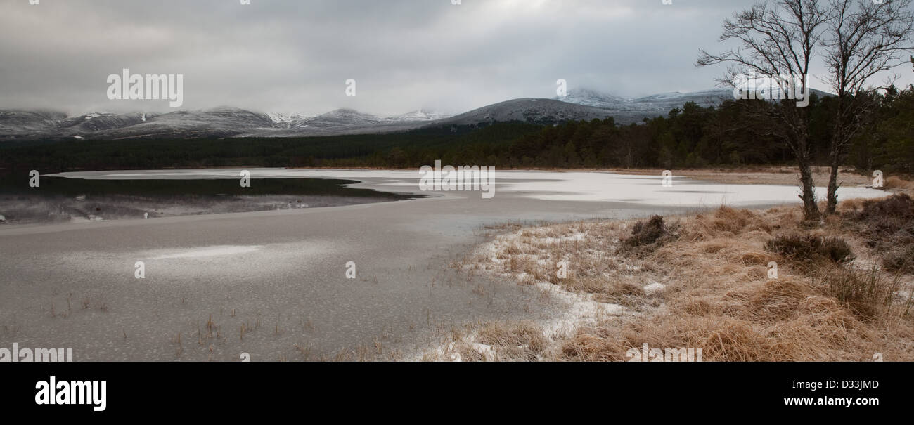 Frozen Loch Morlich panoramic Stock Photo