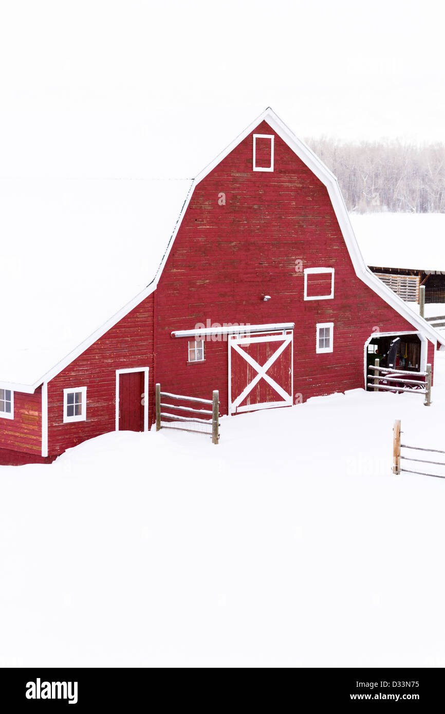 Red barn in snow on lamb farm Stock Photo - Alamy