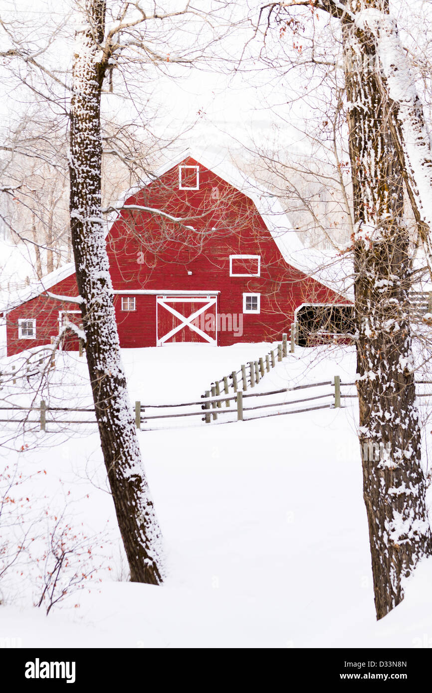 Red barn in snow on lamb farm Stock Photo - Alamy