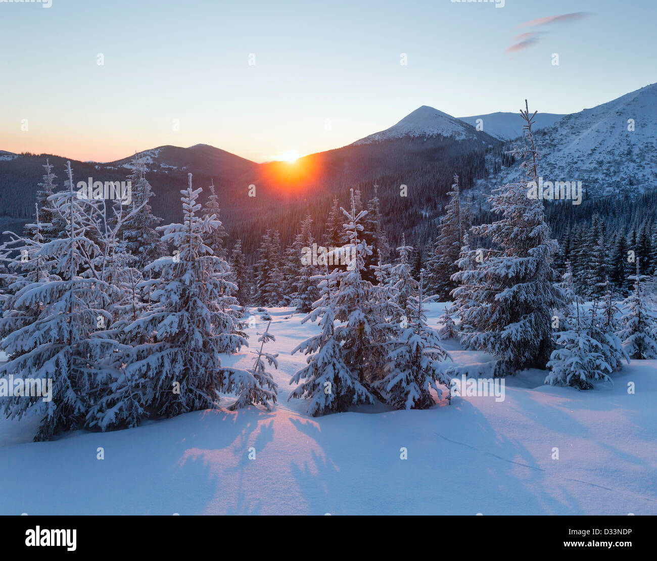The first rays of the sun and winter mountain landscape with snowy fir ...