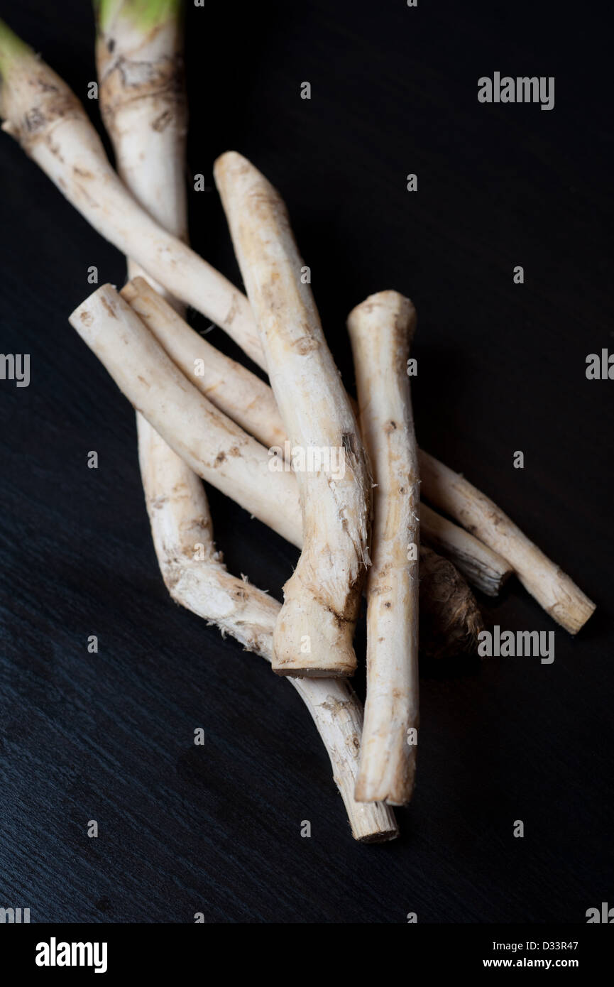 Хреновуха на черном фоне. Хрен овощ. Семена черной редьки. Редька посевная. Топинамбур картинки.