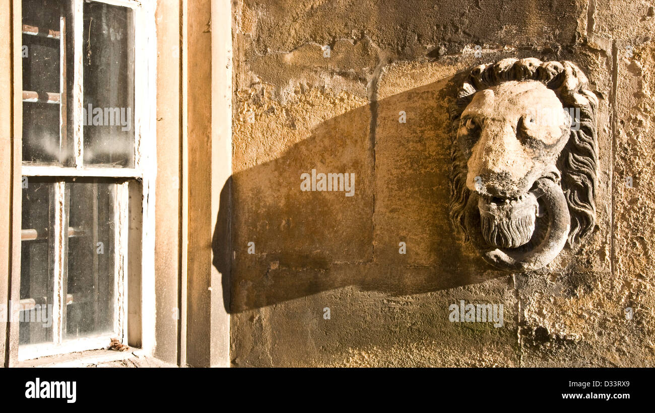 Carved stone lion head Elizabethan Wollaton Hall Nottingham Nottinghamshire east Midlands England Europe Stock Photo