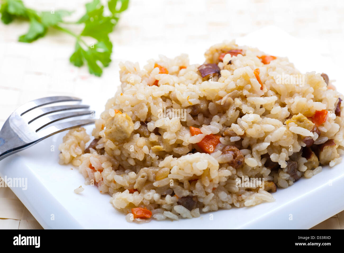 A plate of fried rice. Stock Photo