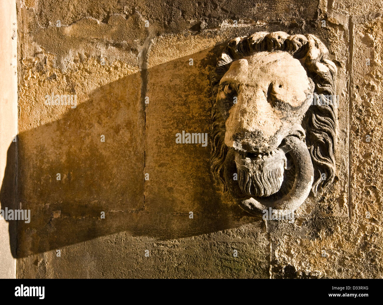 Carved stone lion head grade 1 listed Elizabethan Wollaton Hall Nottingham Nottinghamshire east Midlands England Europe Stock Photo