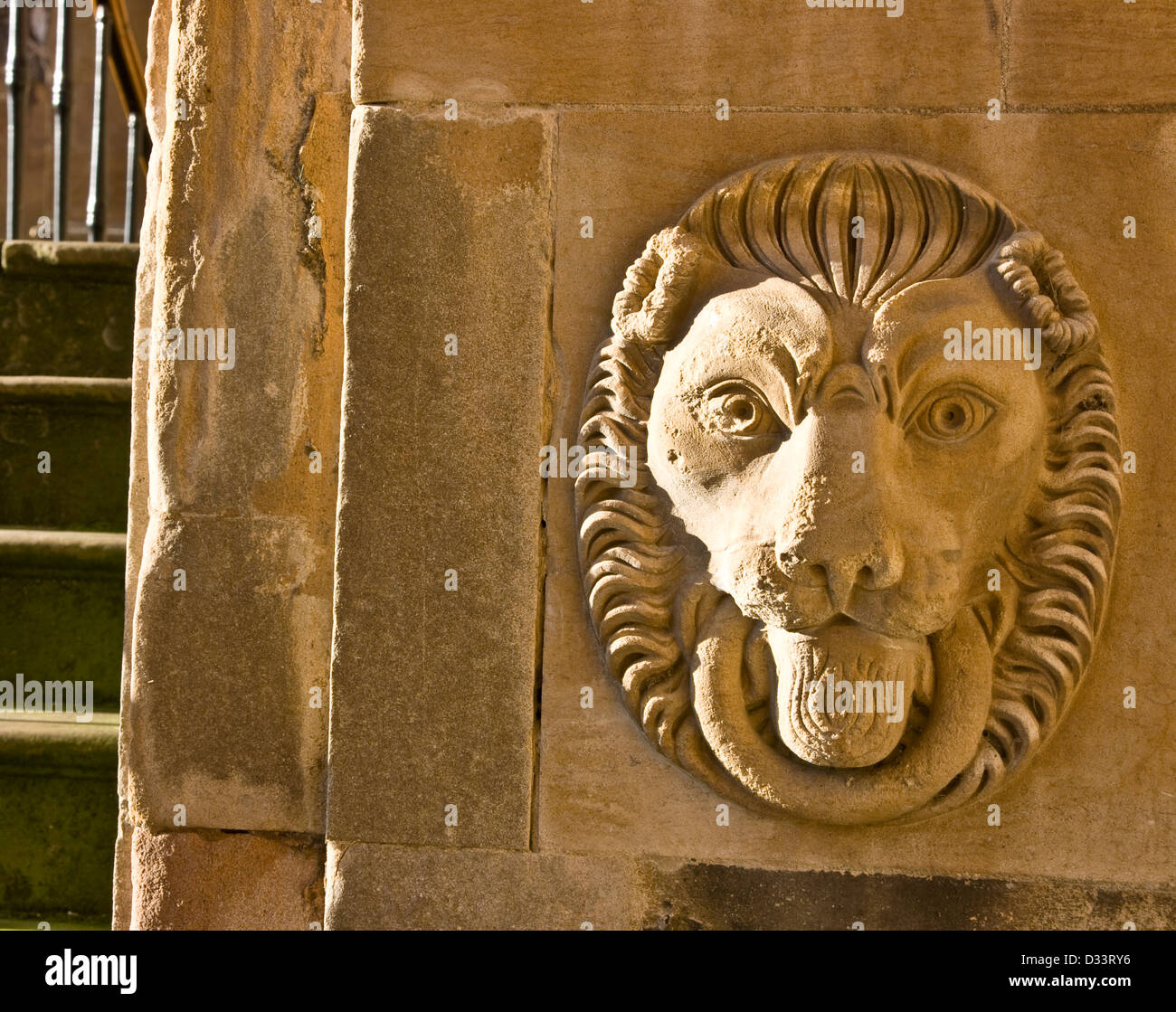 Carved stone lion head Elizabethan Wollaton Hall Nottingham Nottinghamshire east Midlands England Europe Stock Photo