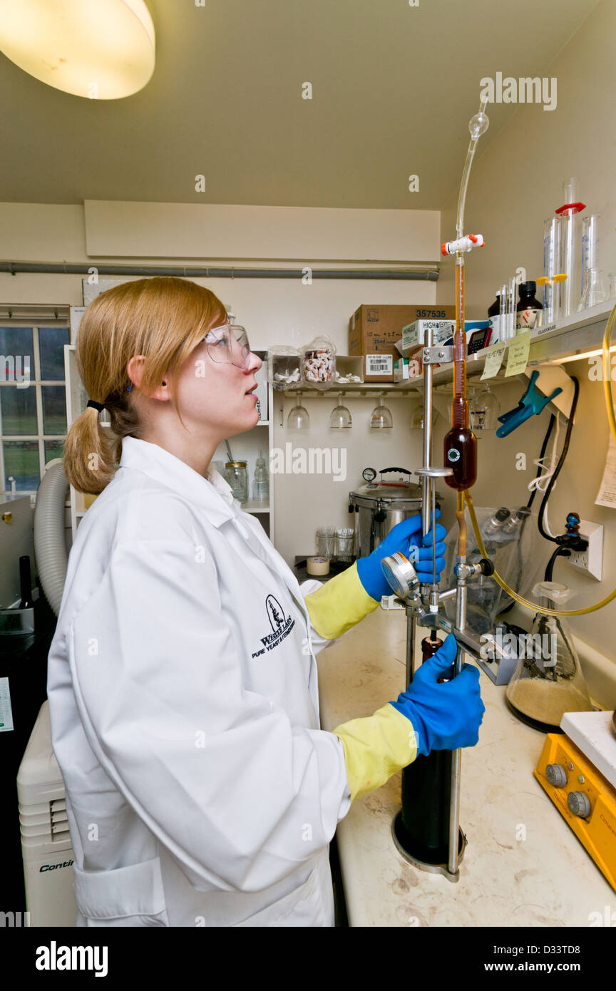Brewing lab hires stock photography and images Alamy