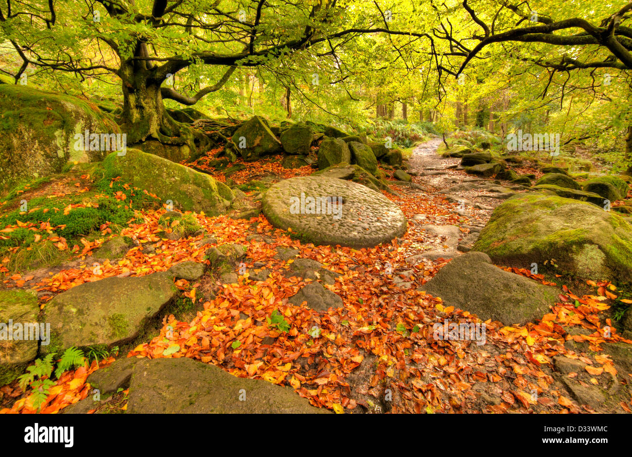 Autumn at Padley Gorge in the Peak District Derbyshire England UK Stock Photo