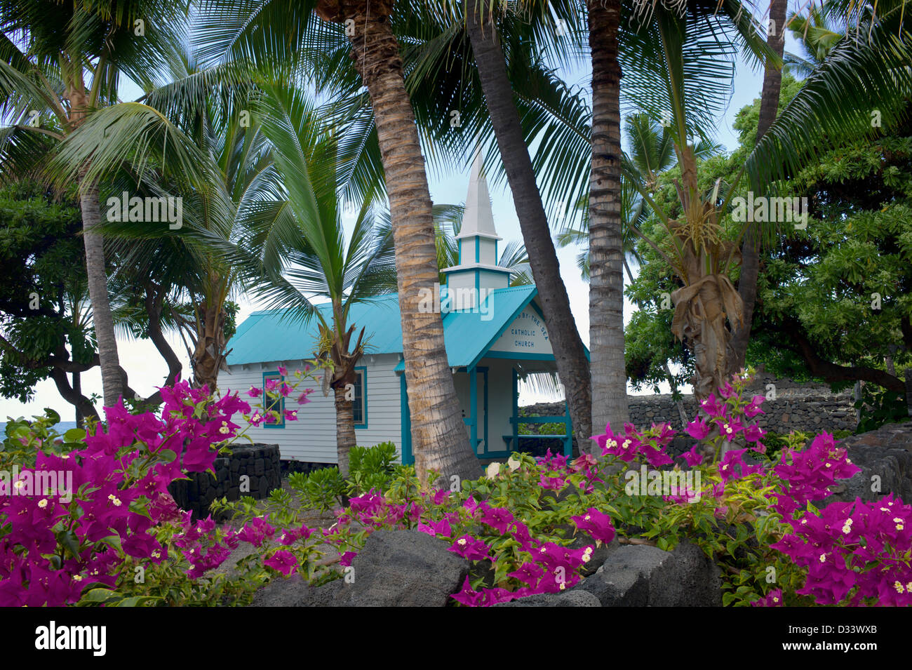 Kona Hawaii Palm Trees High Resolution Stock Photography and Images - Alamy