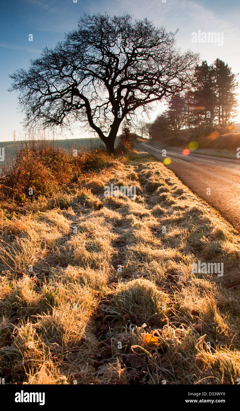 A winter morning in Blidworth, Nottinghamshire UK Stock Photo Alamy