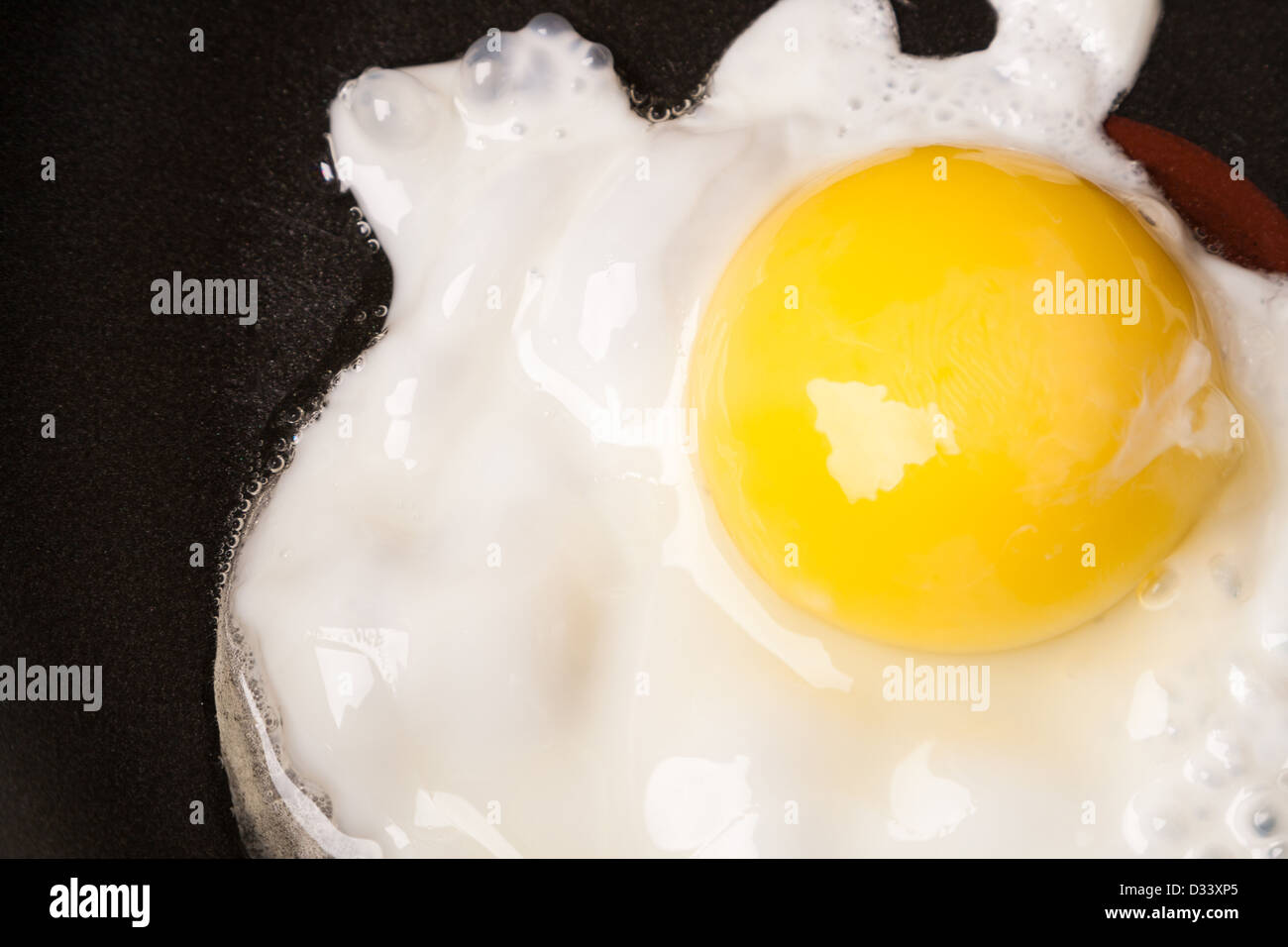 Fried egg with one yolk in a pan Stock Photo