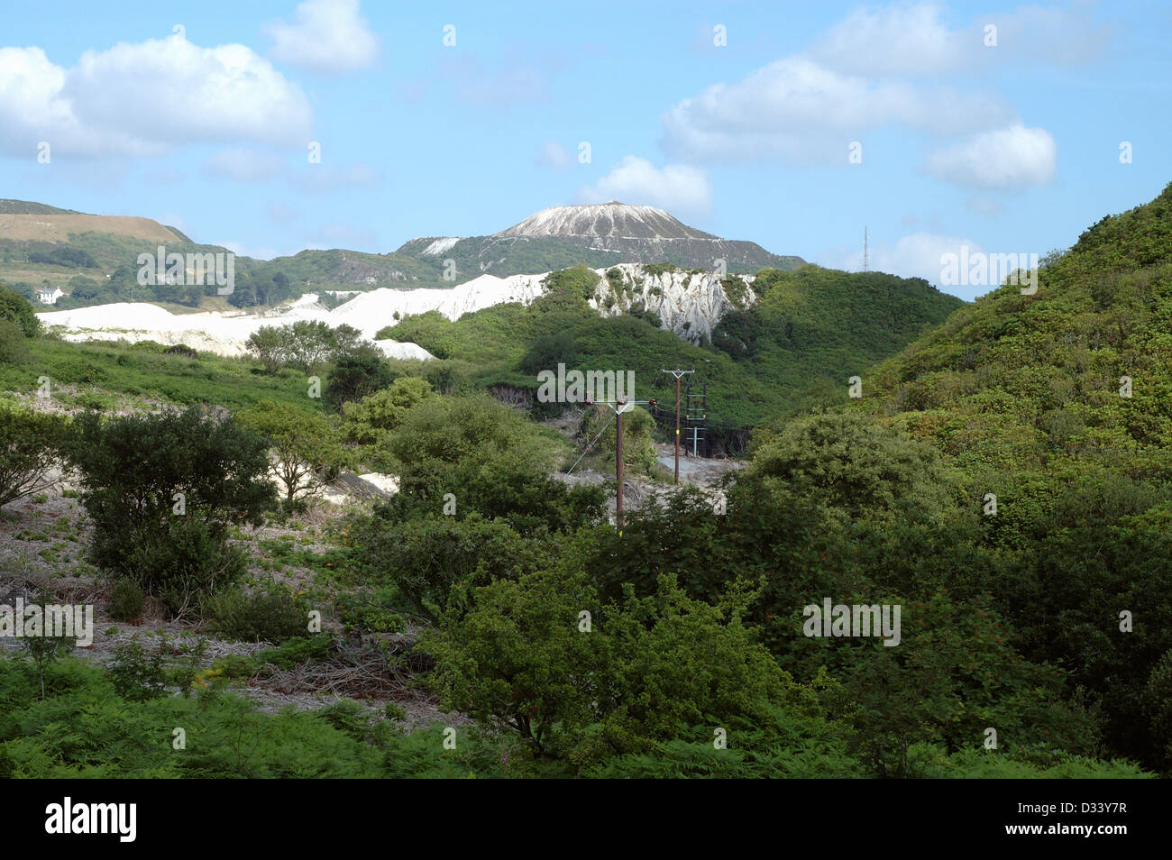 China clay spoil heaps, recolonisation on old ones, St Austell Cornwall UK Stock Photo