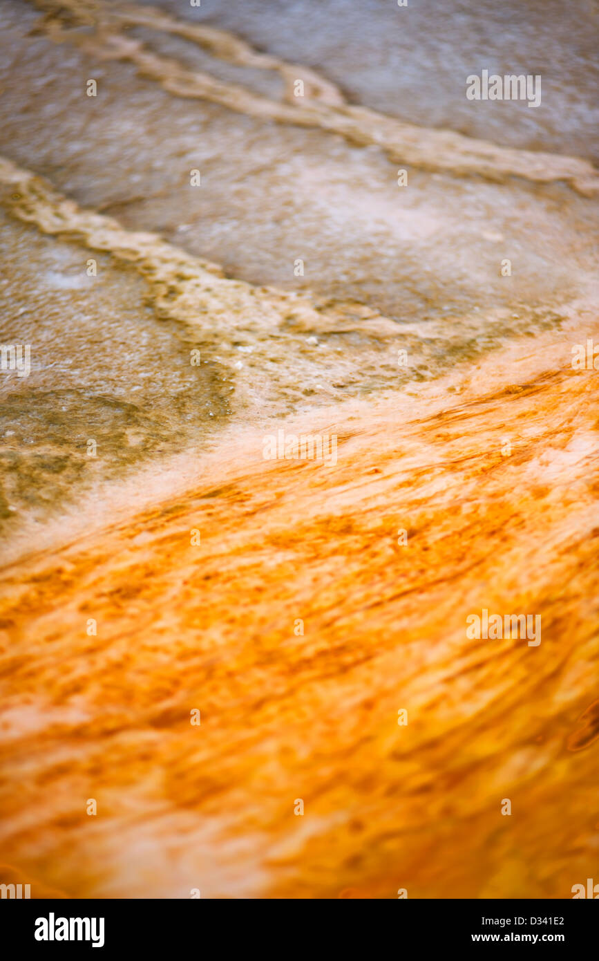 Detail of a geo-thermal area in Yellowstone National Park, Wyoming, USA Stock Photo