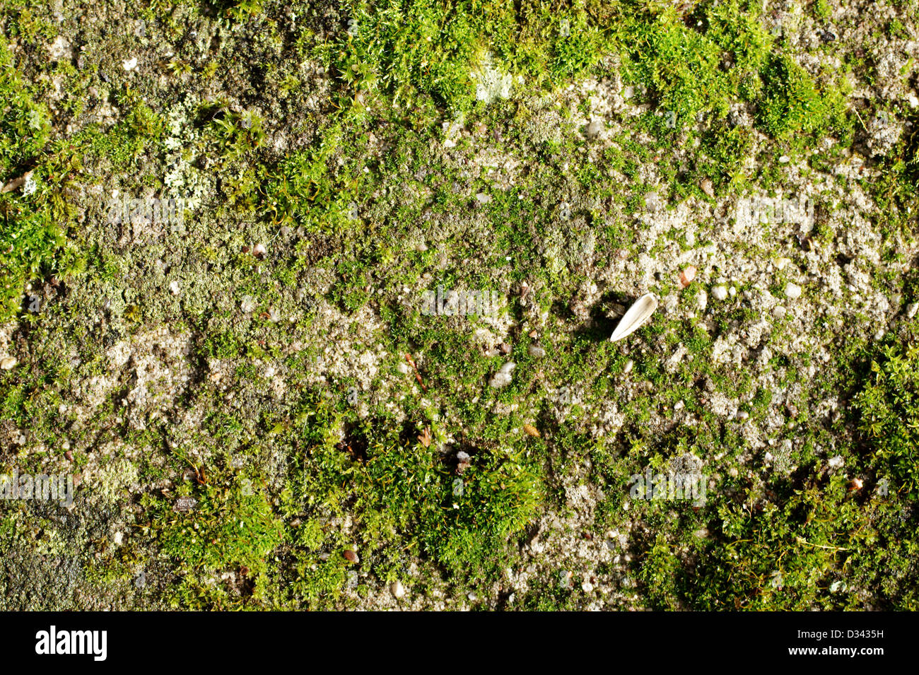 Subsoil hires stock photography and images Alamy