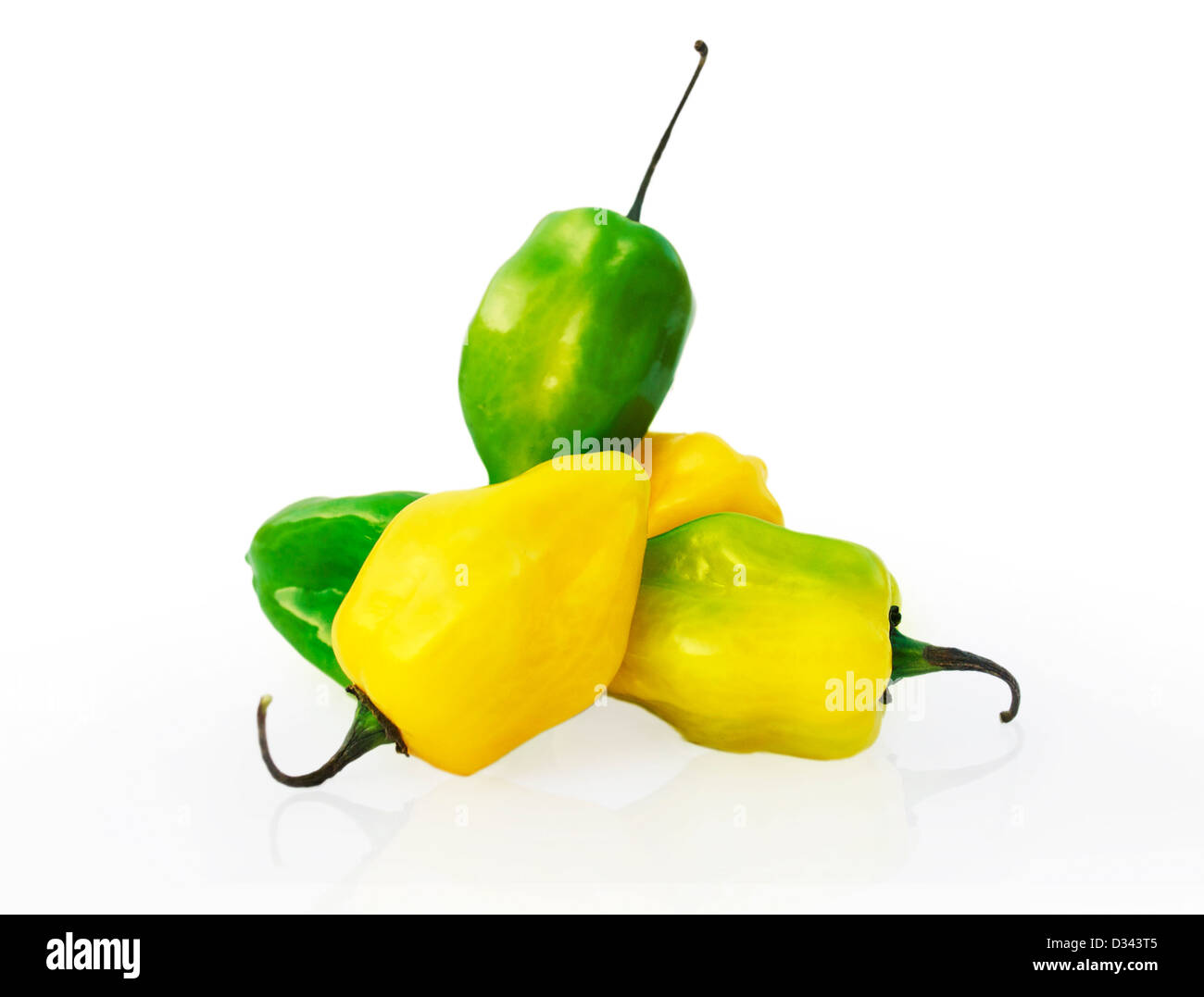 Habanero Chili Pepper Stock Photo Alamy