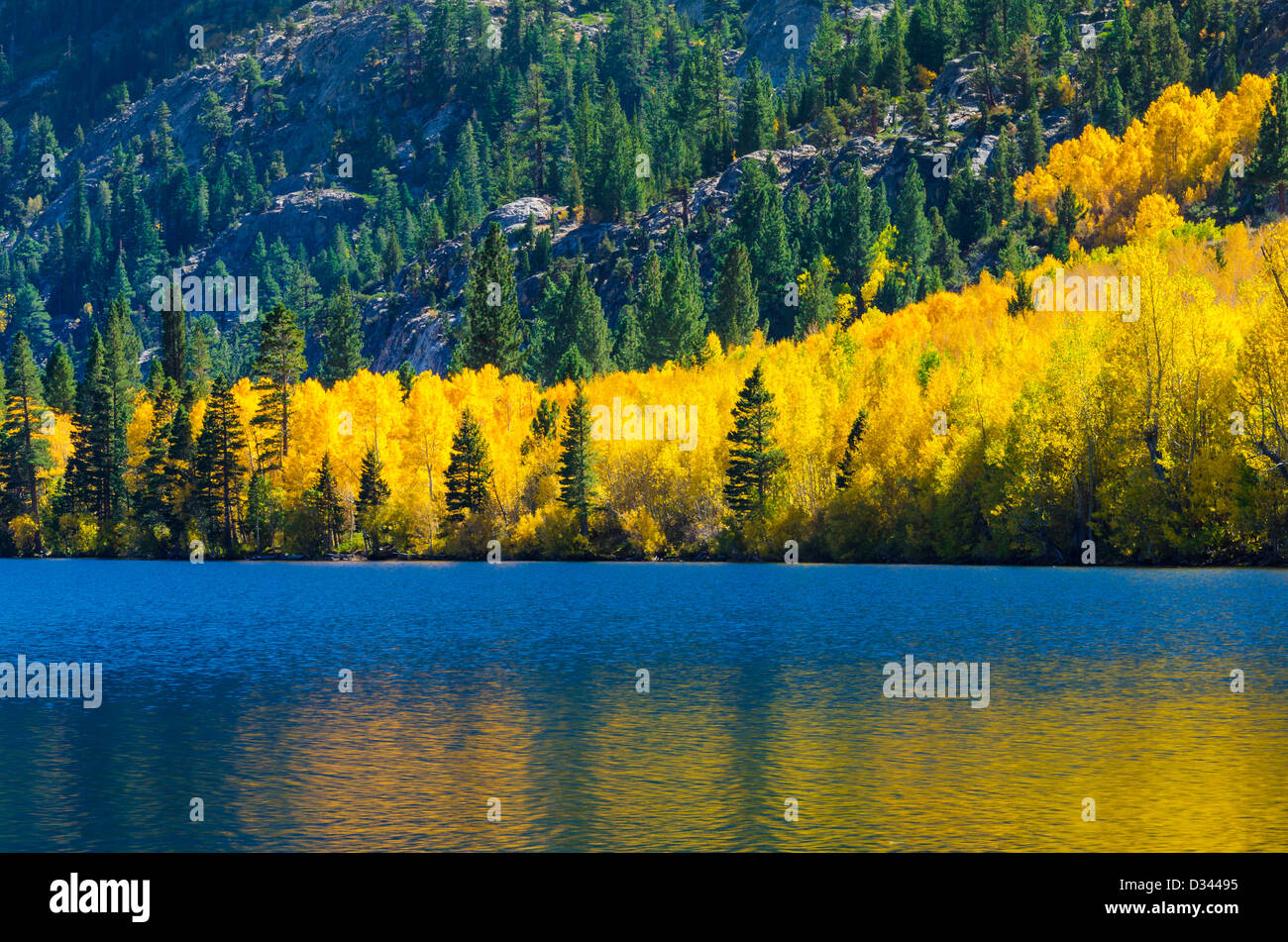June Lake Inyo National Forestcalifornia Paisajes