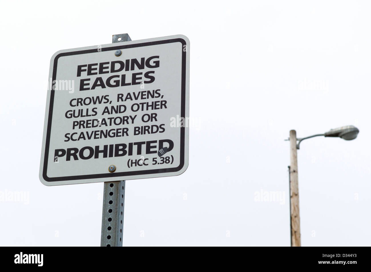 Sign in the harbor warning people not to feed Bald Eagles, Homer, Alaska, USA Stock Photo