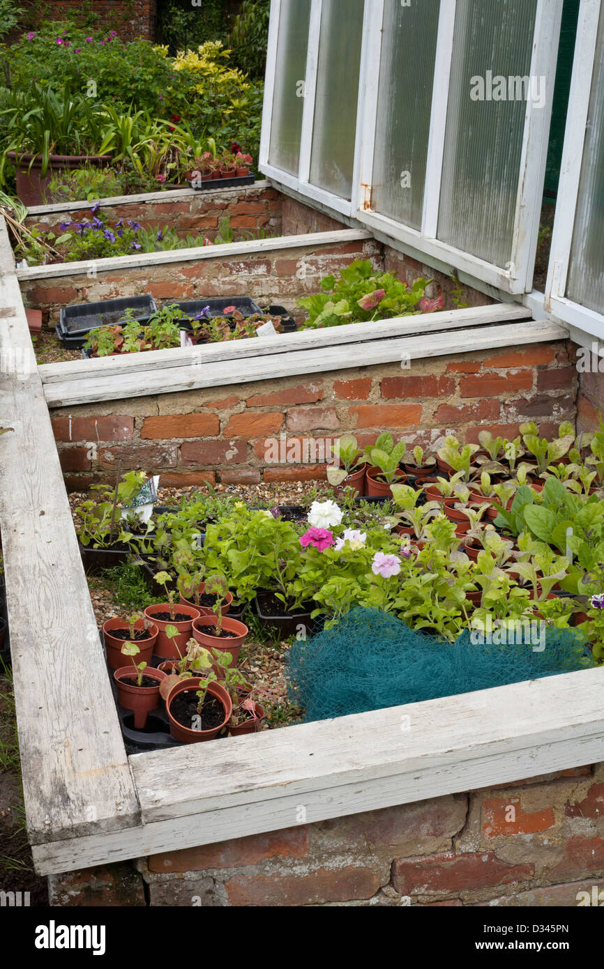 Brick cold frame and greenhouse with brick path. Stock Photo