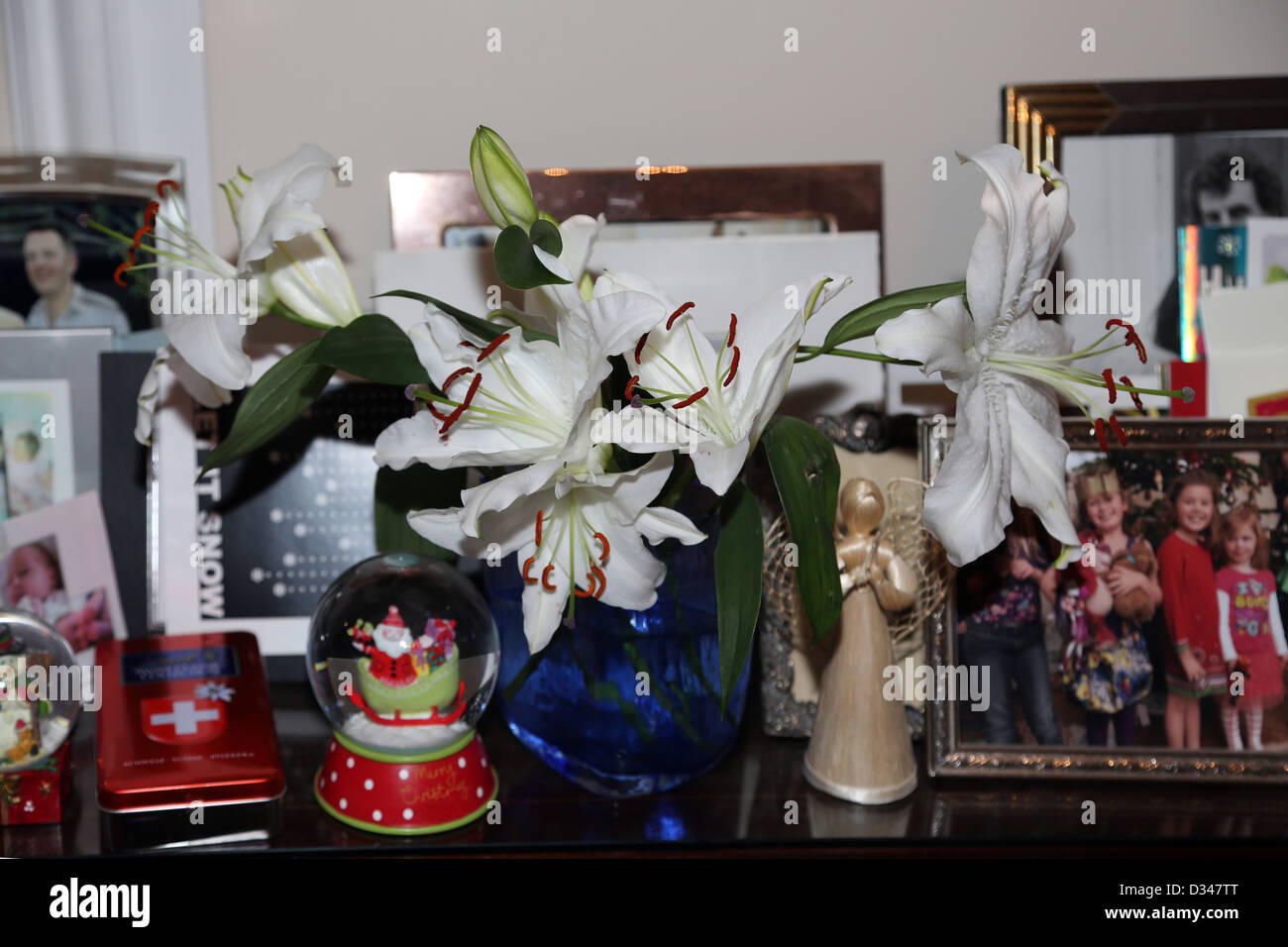 Lillies In A vase By Photographs And Ornaments Stock Photo