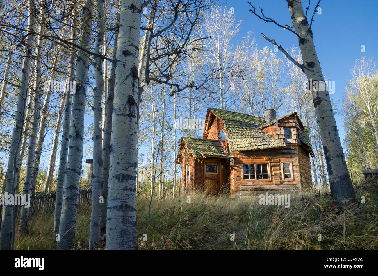 Unique log cabin,  83 Mile House, Cariboo Region, British Columbia, Canada Stock Photo